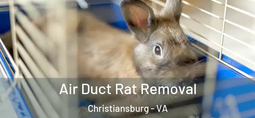 Air Duct Rat Removal Christiansburg - VA
