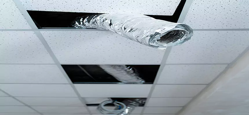 Affordable HVAC Sanitizing After Pest Removal in Christiansburg