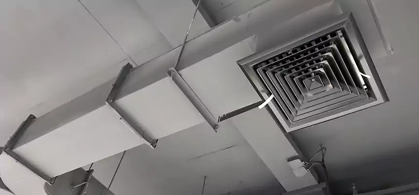 Restorative Allergy Relief Vent Cleaning – Coil, Blower & Housing Detail in Christiansburg