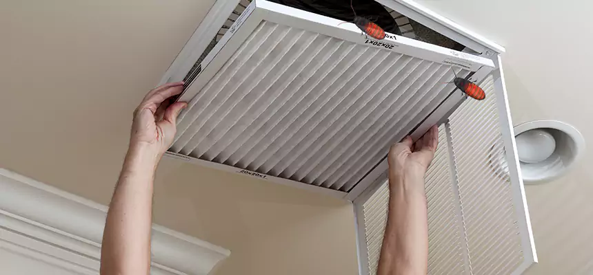 Our Insect Removal from Air Ducts Services in Christiansburg, VA