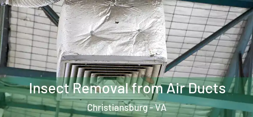  Insect Removal from Air Ducts Christiansburg - VA