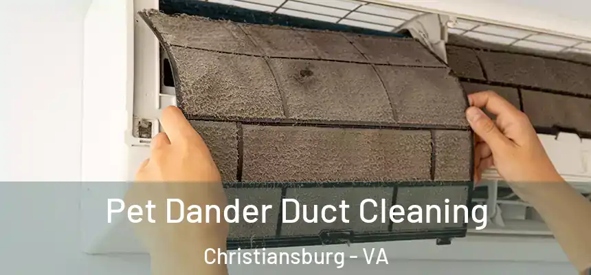 Pet Dander Duct Cleaning Christiansburg - VA