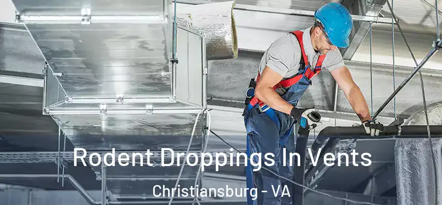  Rodent Droppings In Vents Christiansburg - VA
