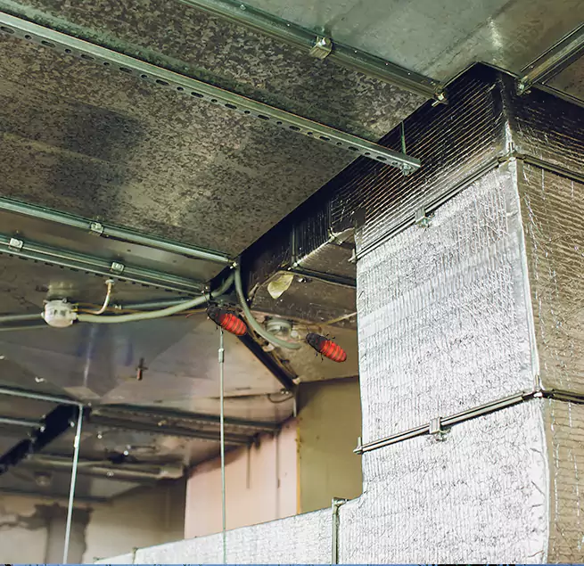 Why Homeowners & Businesses Trust Us in Christiansburg, VA?