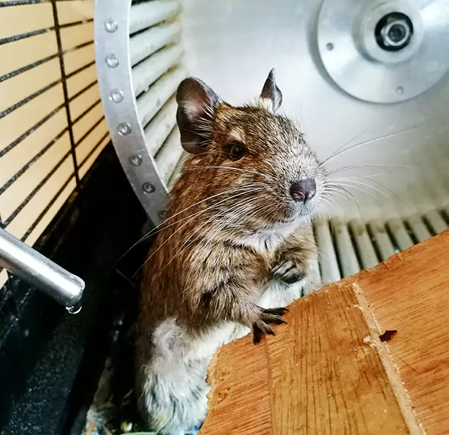 Why Homeowners & Businesses Trust Us Christiansburg, VA