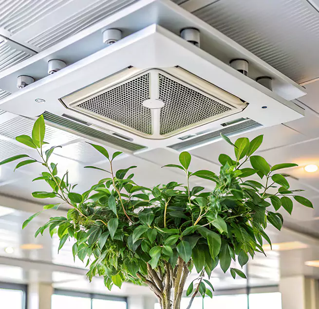 Why Homeowners & Businesses Trust Us in Christiansburg, VA?